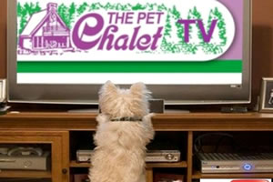 promo_tv
